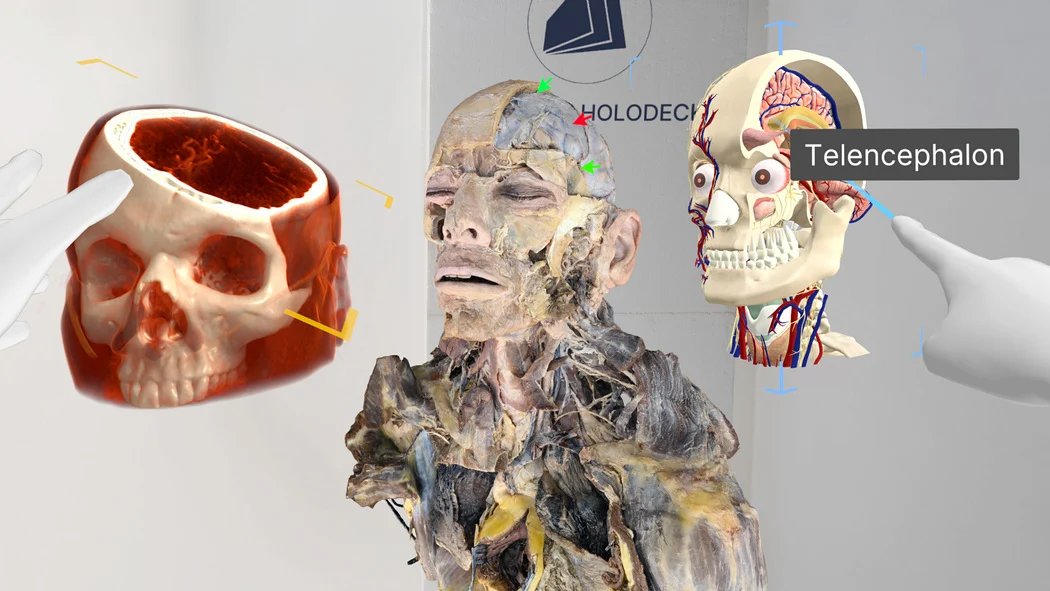 Anatomical head models explored in a virtual learning environment