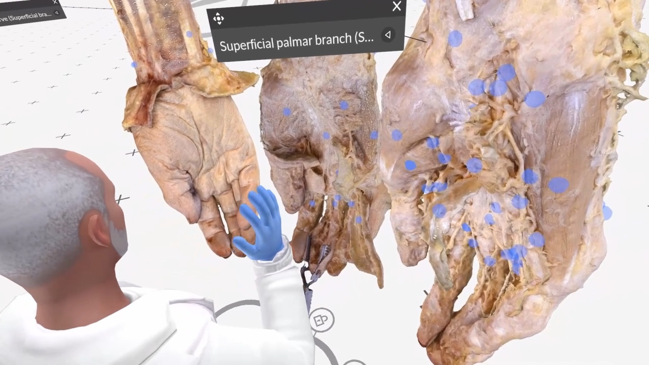 The hand thumbnail 1