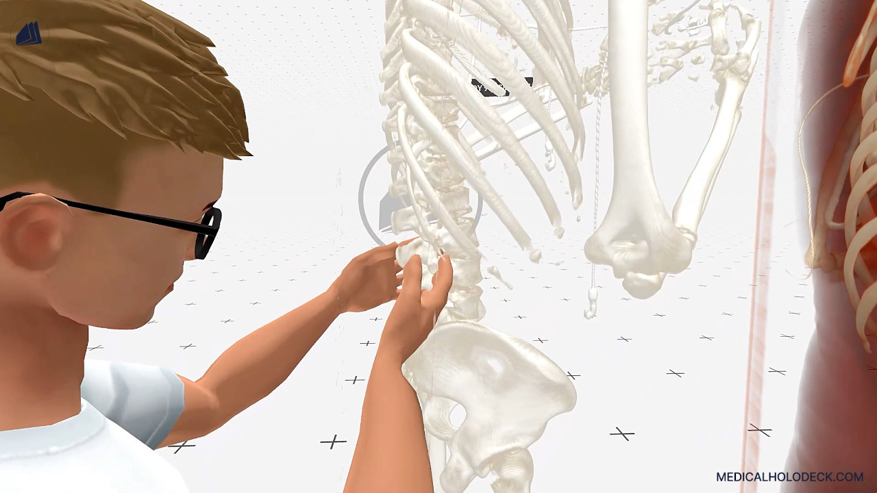 The anatomy of the spine thumbnail 3