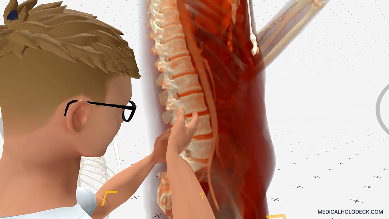 The anatomy of the spine thumbnail 1