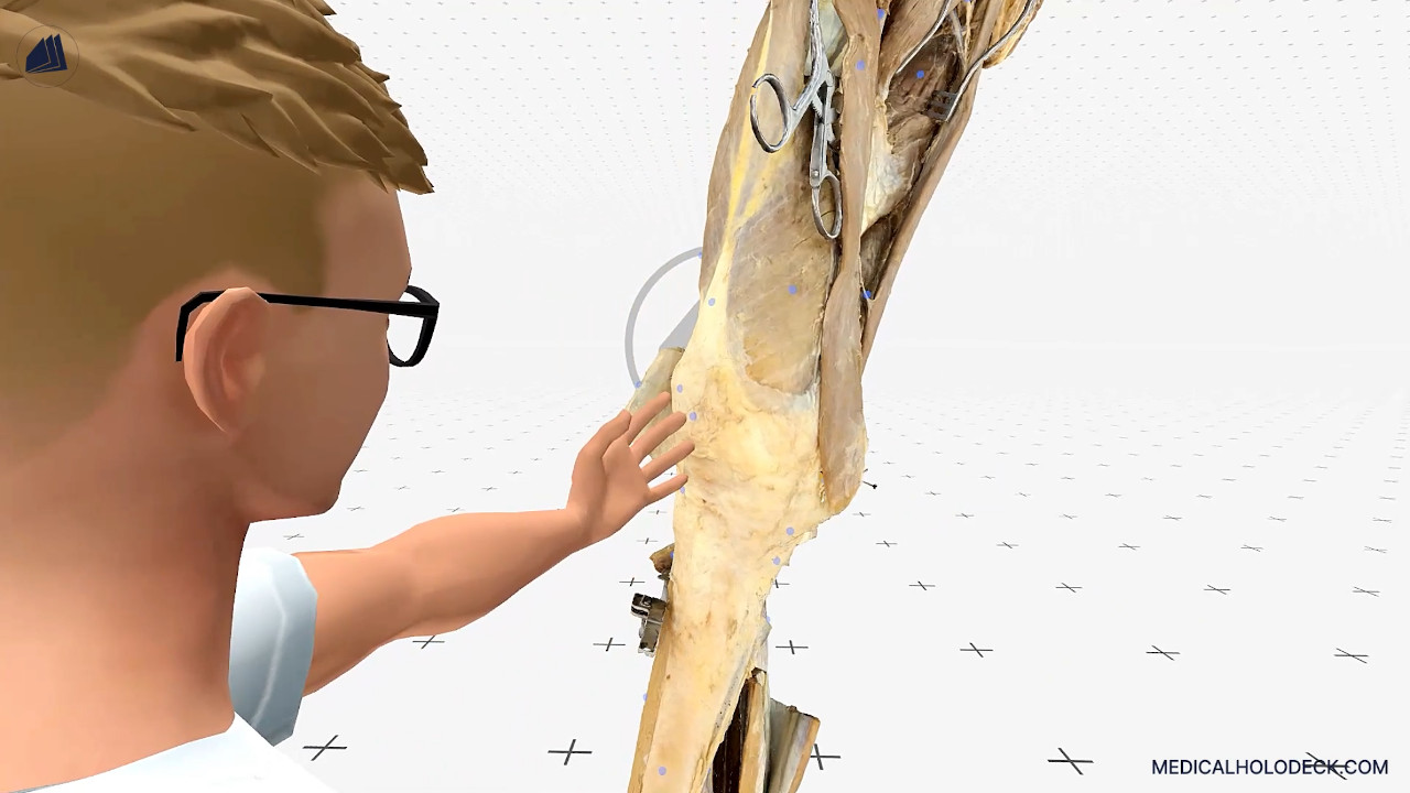 A virtual introduction into knee fractures thumbnail 4