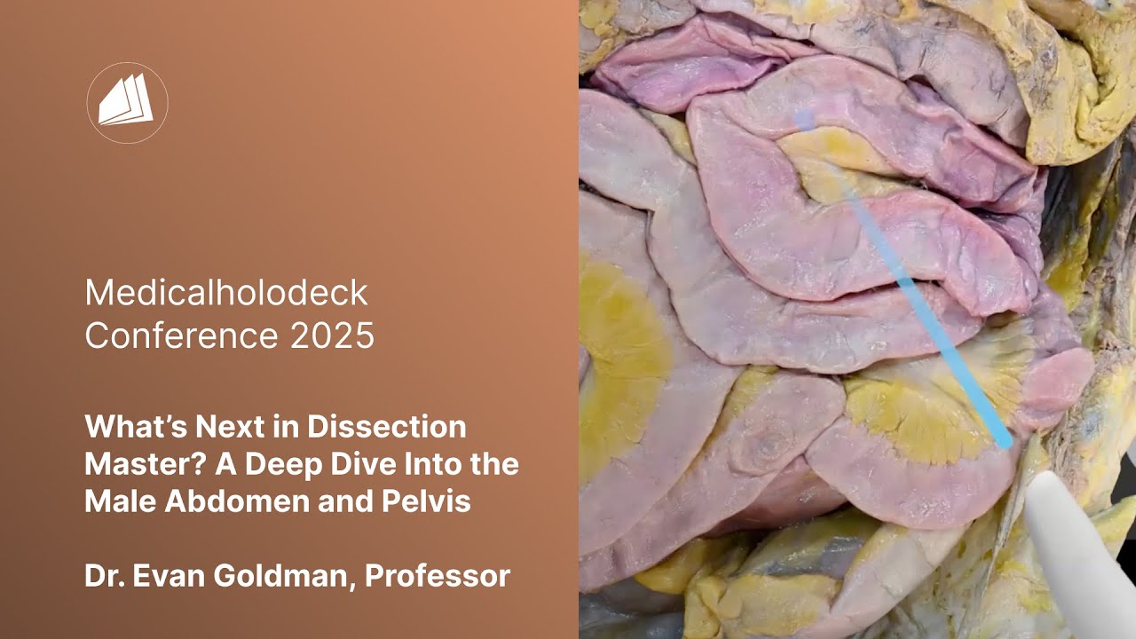 What’s next in Dissection Master? A deep dive into the male abdomen and pelvis