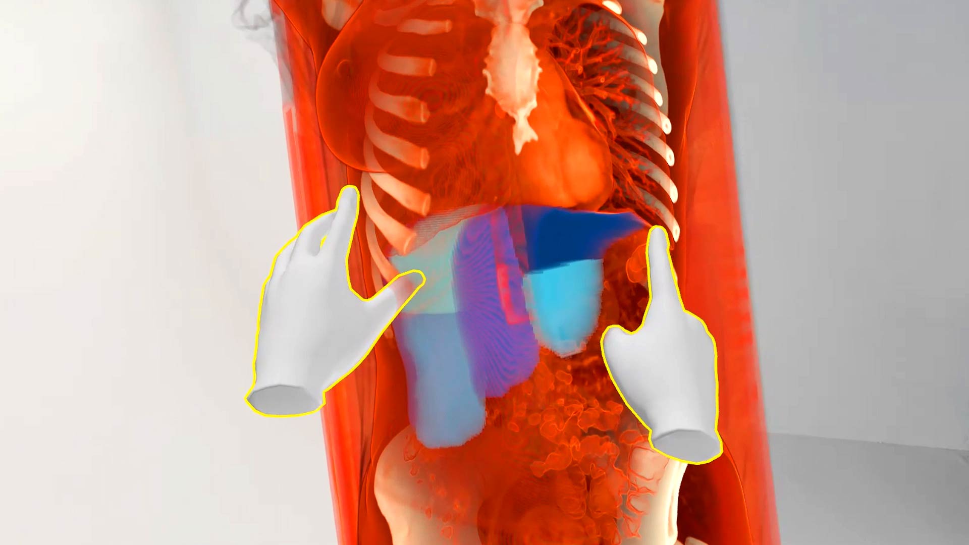 Update July 2025 - liver