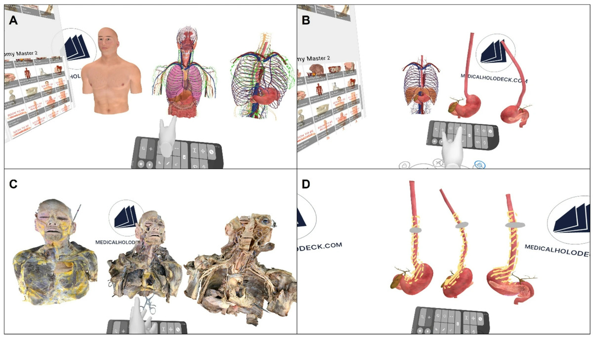 Applications of VR in medical education