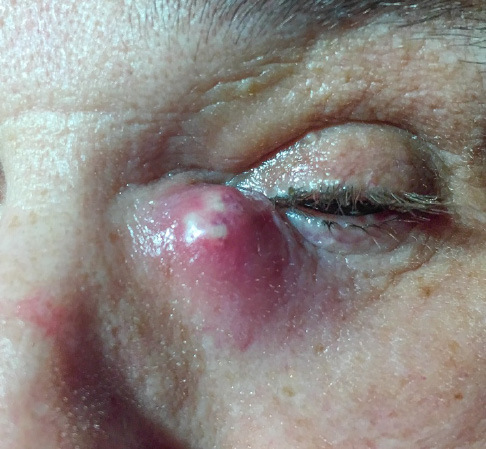 Medicalholodeck iOS screenshot