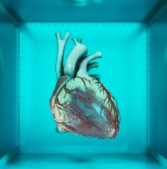 What’s new: September update