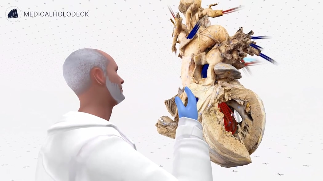 A virtual instructor demonstrating the anatomy of the heart