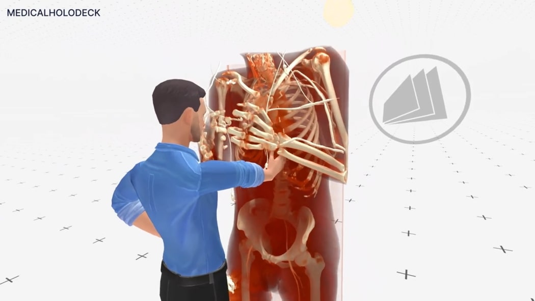 A virtual instructor demonstrating torso anatomy for surgical training