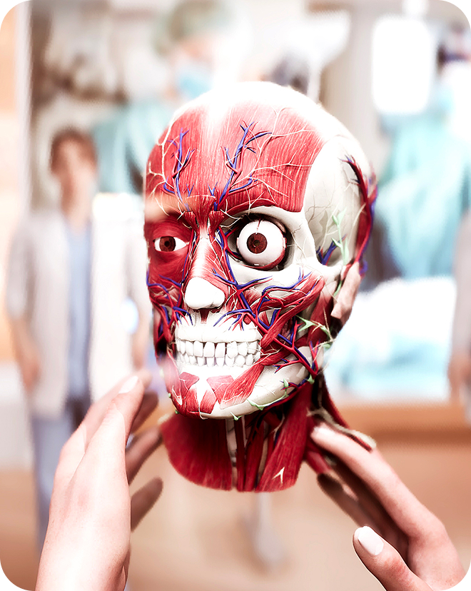 <a href="/en/human-anatomy-atlas-anatomy-master-2/" class="site-page-link">Anatomy Master</a>