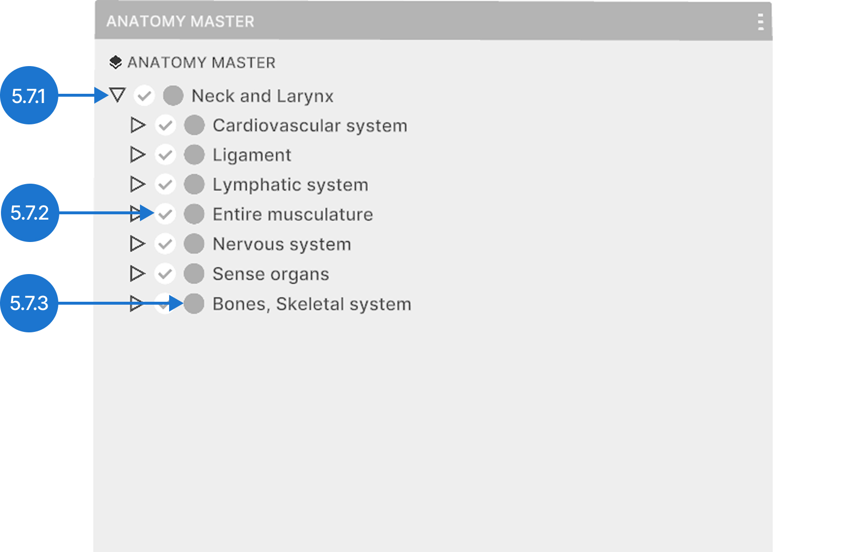 Visibility controls